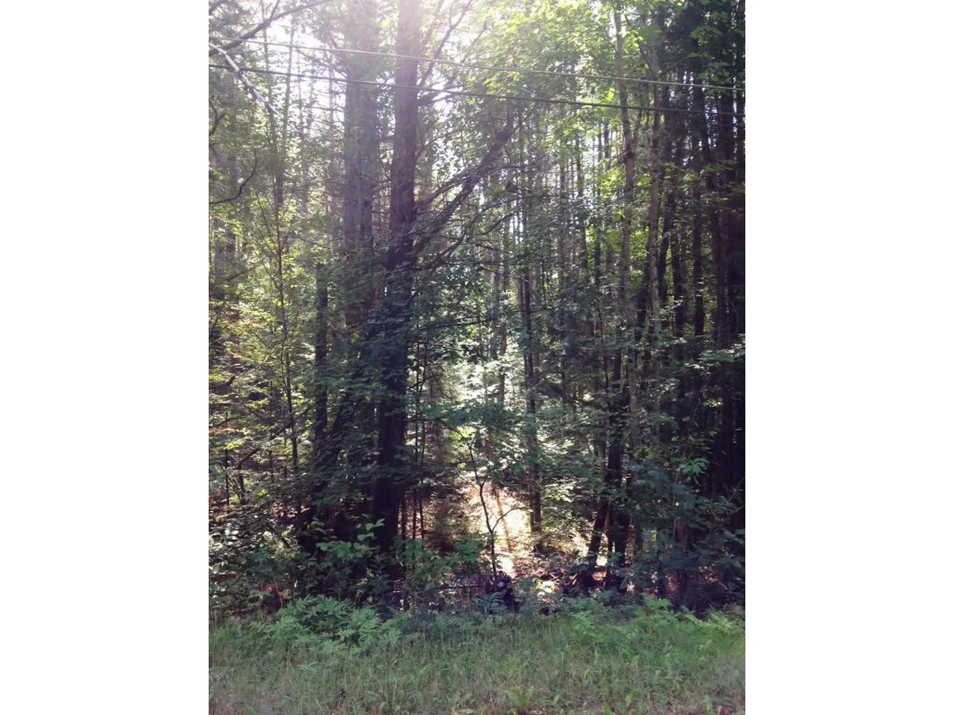 0 Swiftwater Circle Haverhill NH 03765