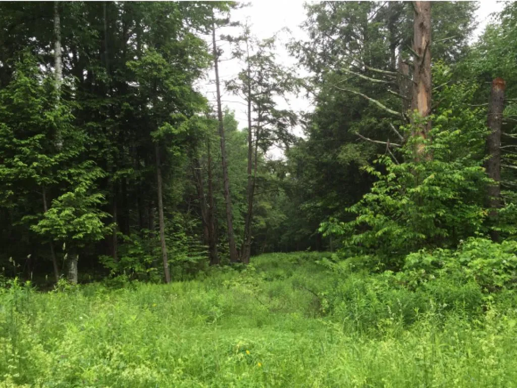 Lot 1 Bertha Springs Road Waitsfield VT 05673