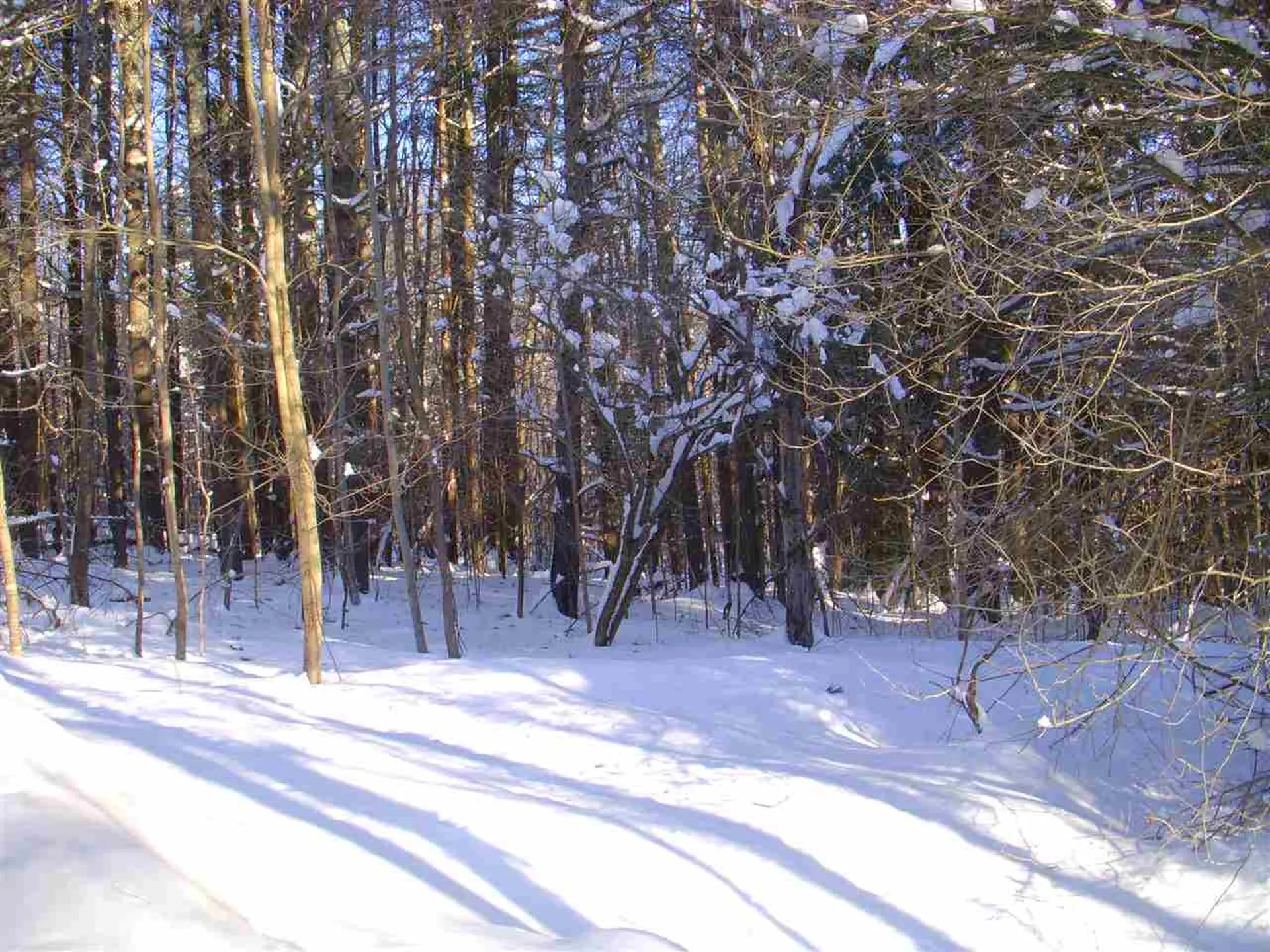 Lot 1 Bertha Springs Road Waitsfield VT 05673