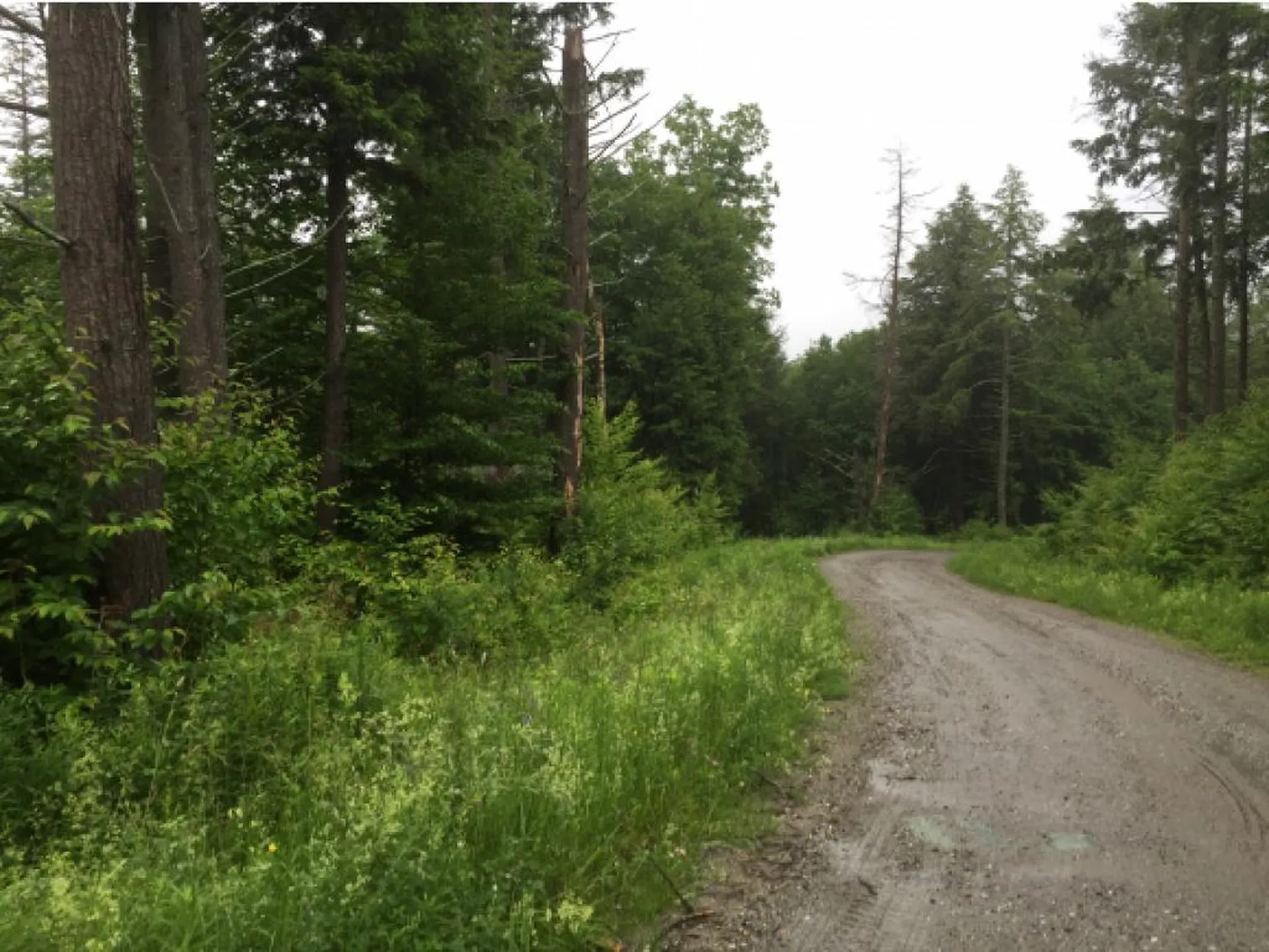 Lot 1 Bertha Springs Road Waitsfield VT 05673