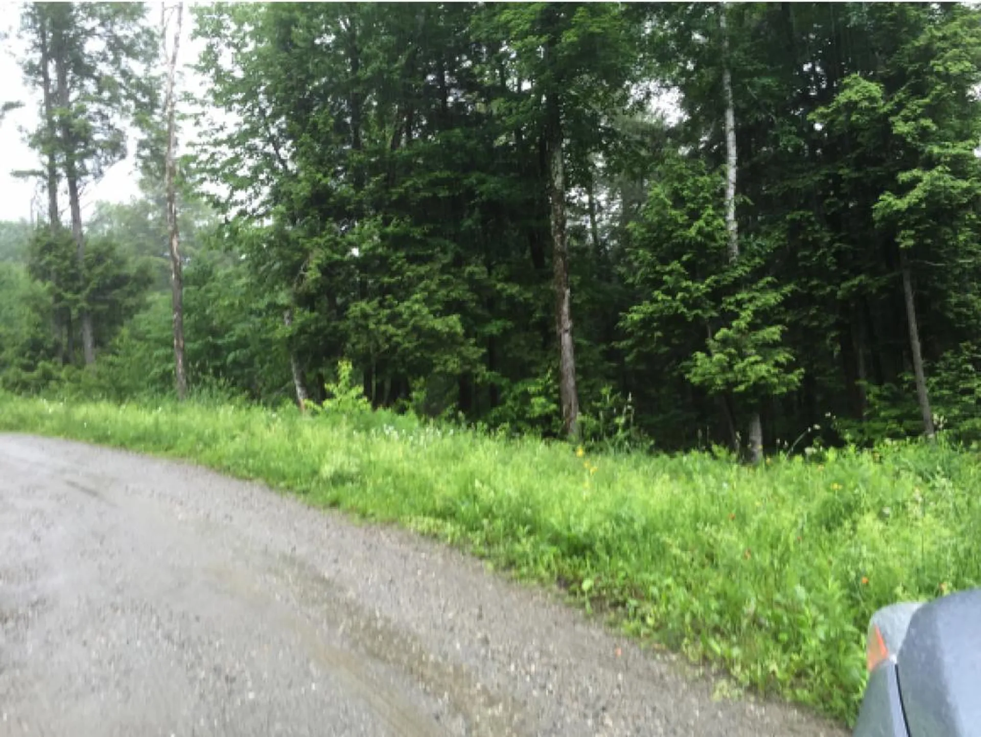 Lot 1 Bertha Springs Road Waitsfield VT 05673