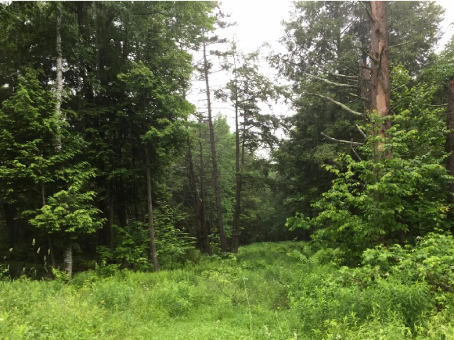 Lot 1 Bertha Springs Road Waitsfield VT 05673