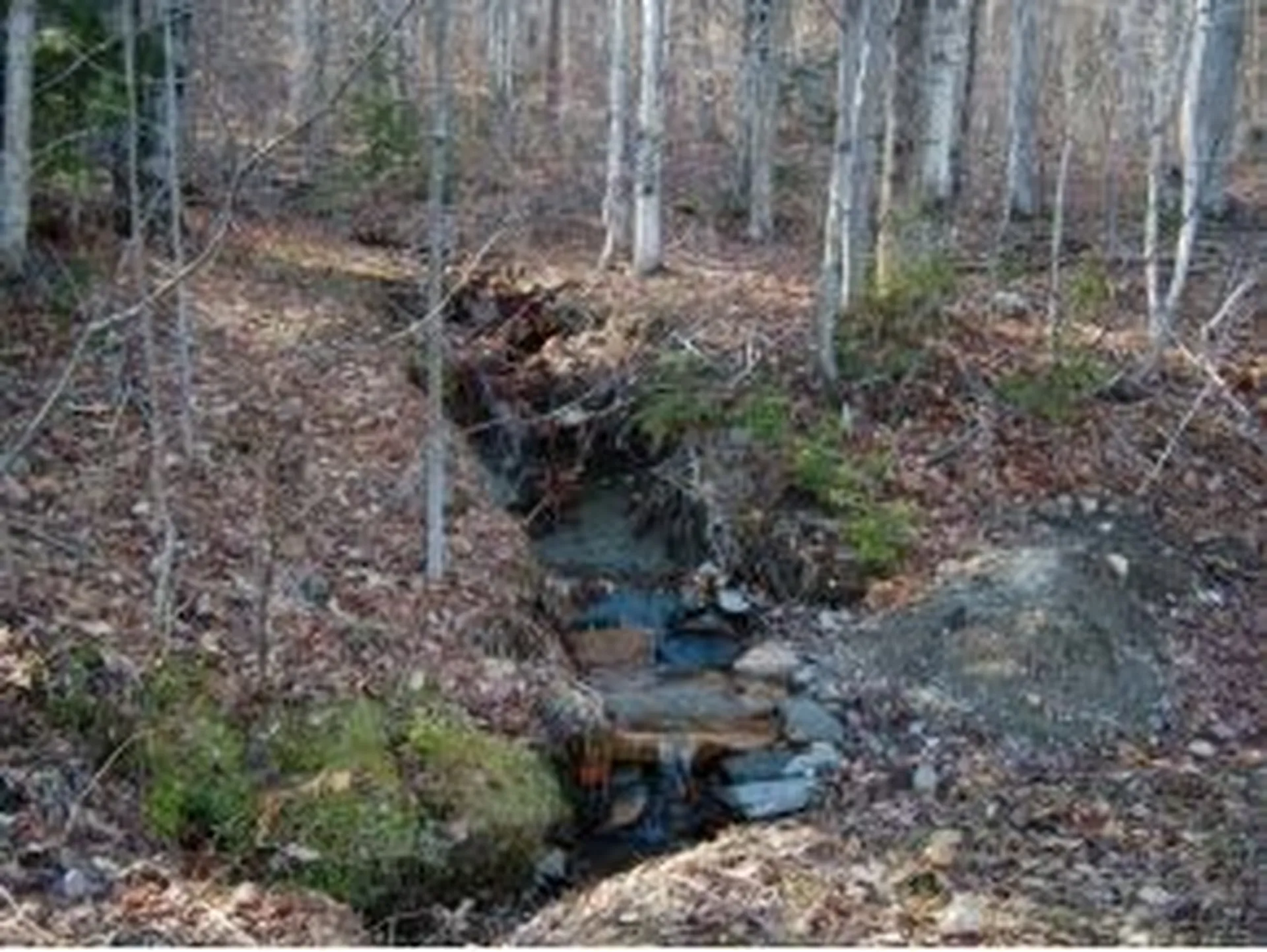 74 Normand Road Stark NH 03582