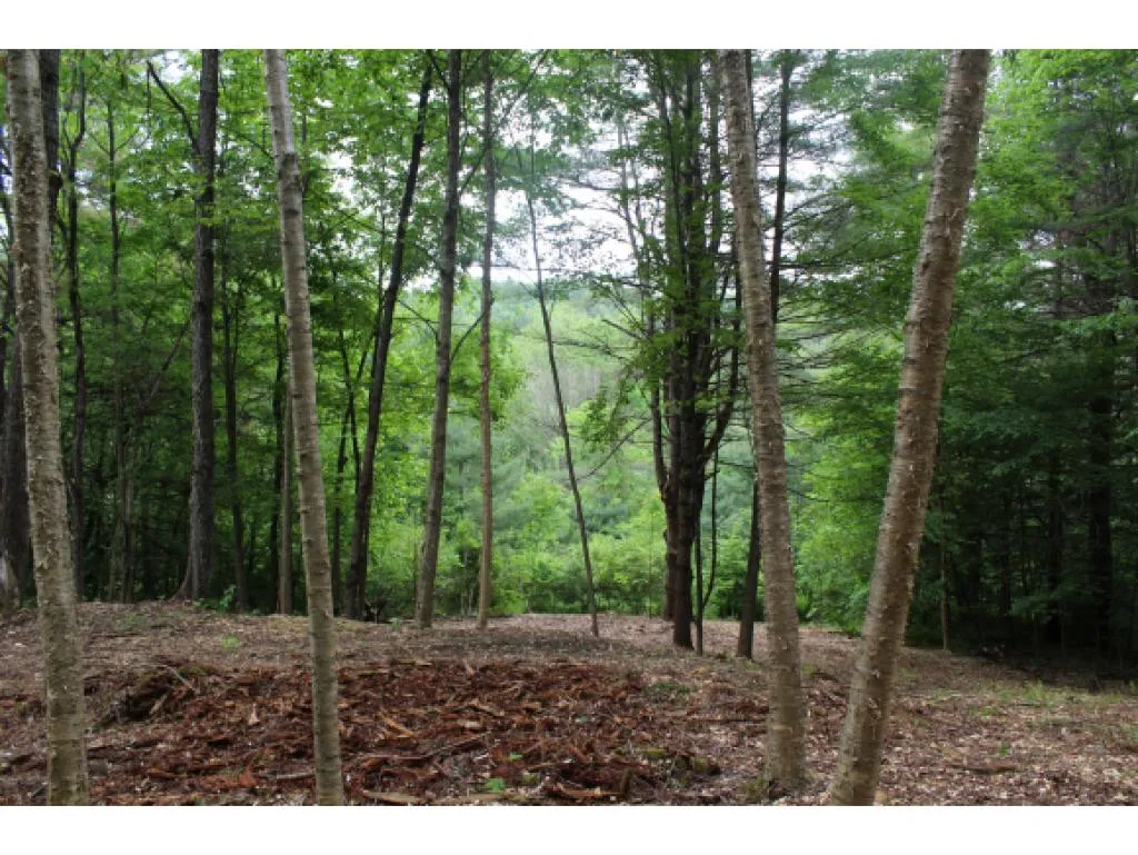 00 Tucker Road Woodstock VT 05091