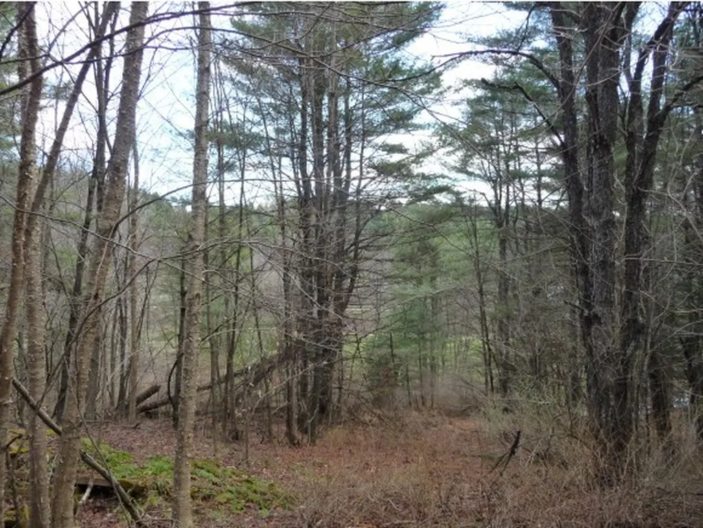 00 Tucker Road Woodstock VT 05091
