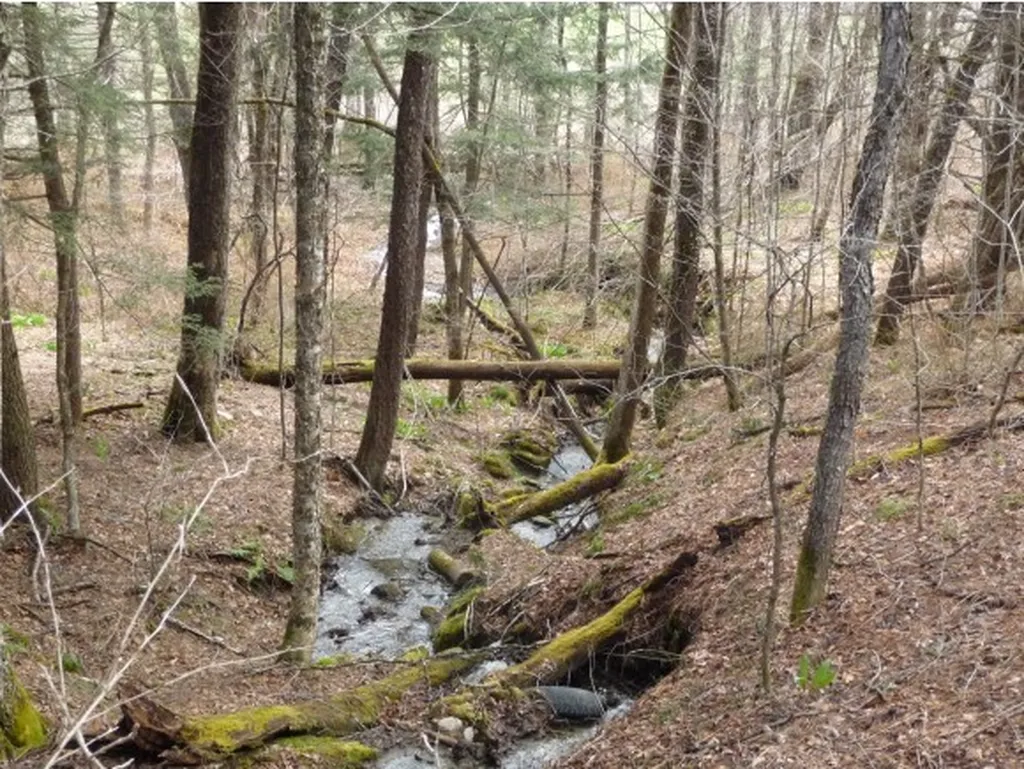00 Tucker Road Woodstock VT 05091