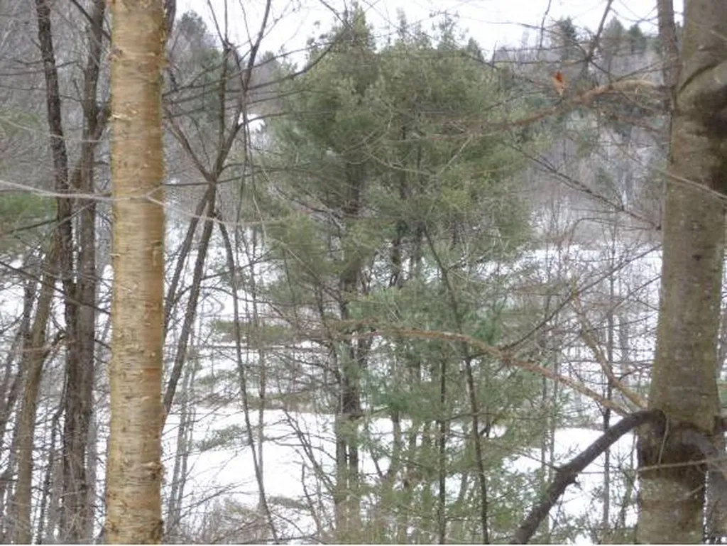 00 Tucker Road Woodstock VT 05091