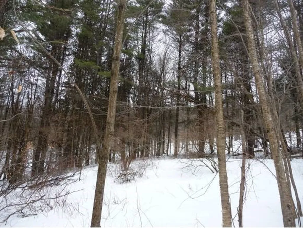 00 Tucker Road Woodstock VT 05091