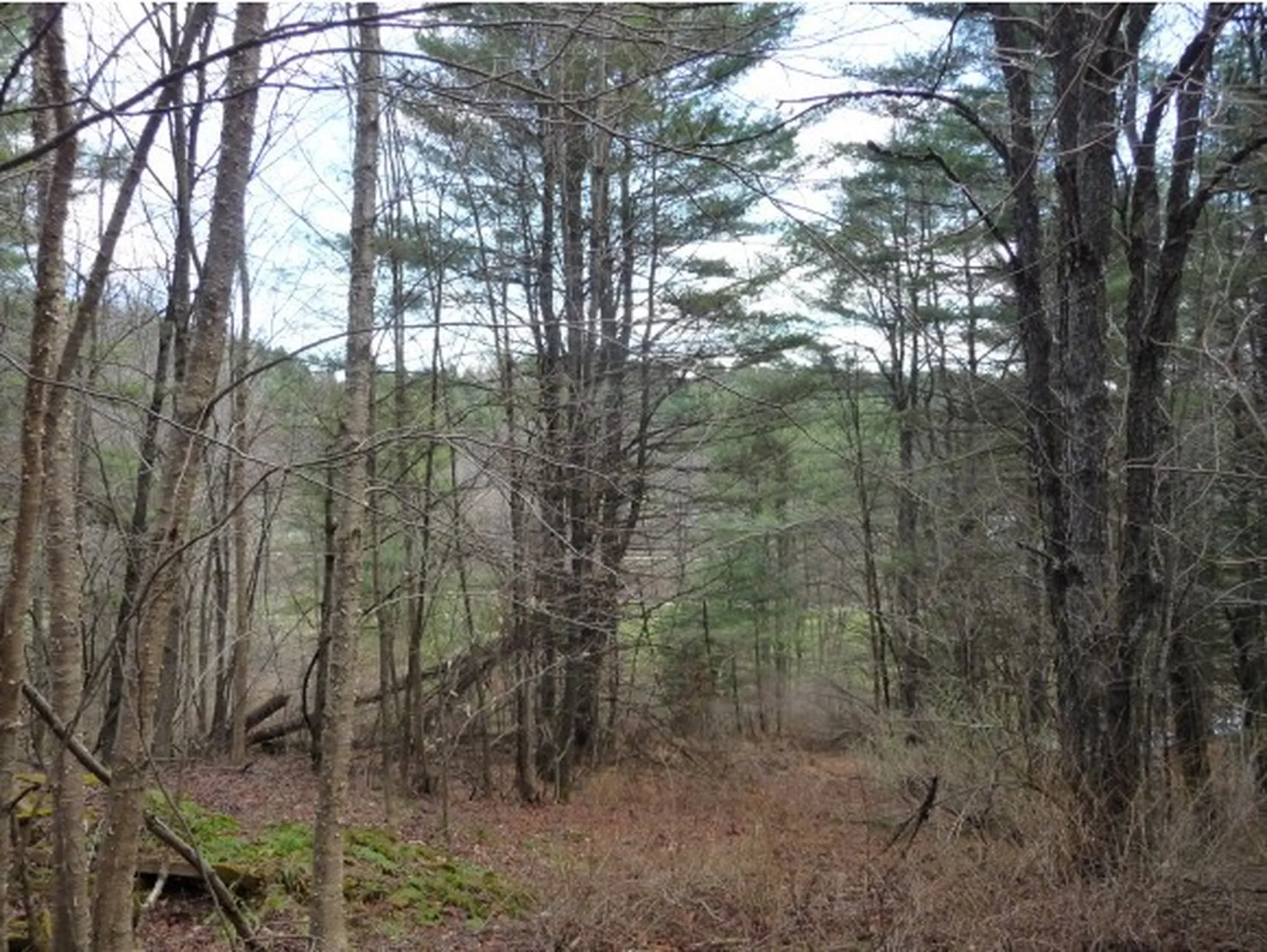 00 Tucker Road Woodstock VT 05091