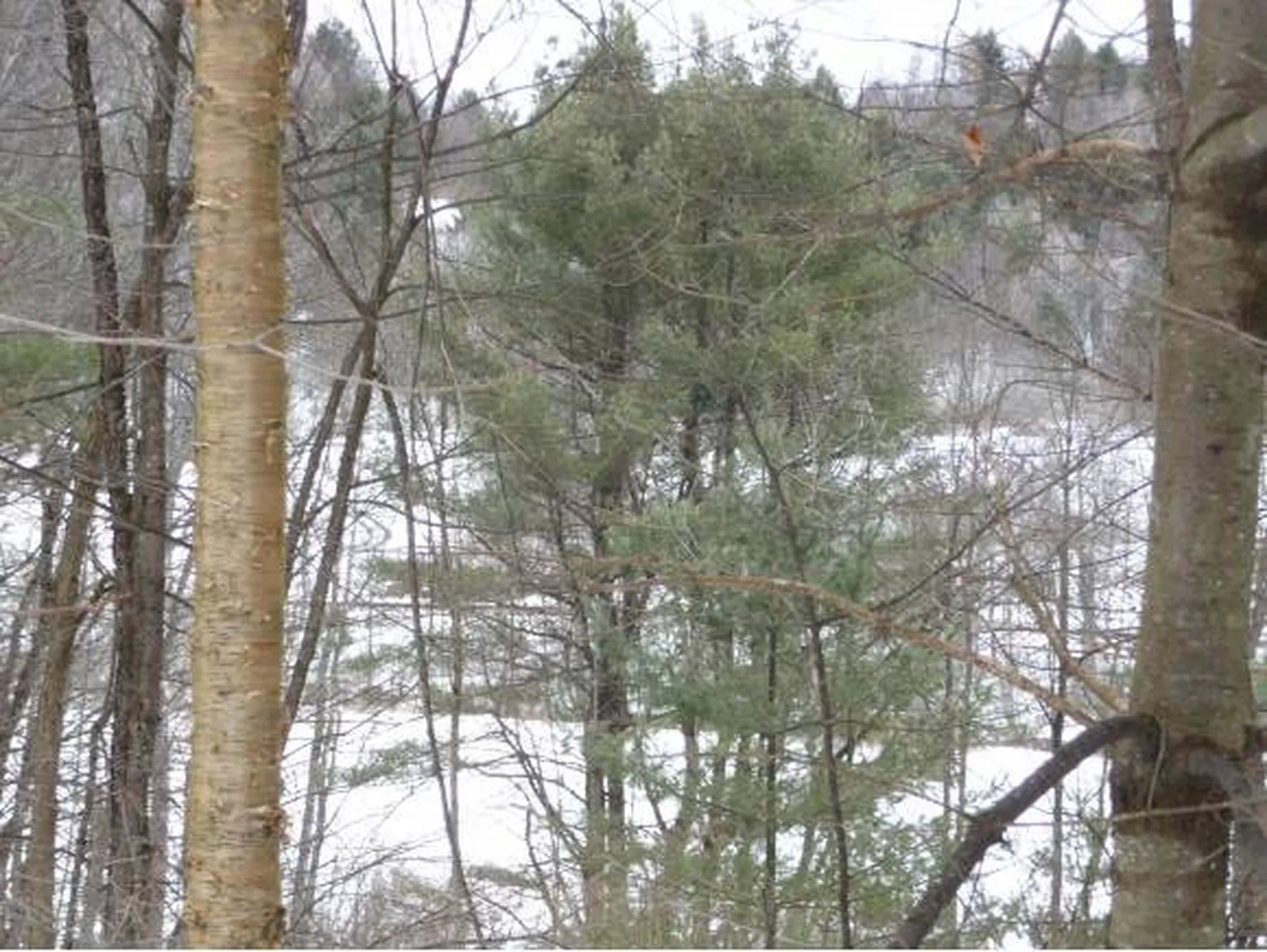 00 Tucker Road Woodstock VT 05091
