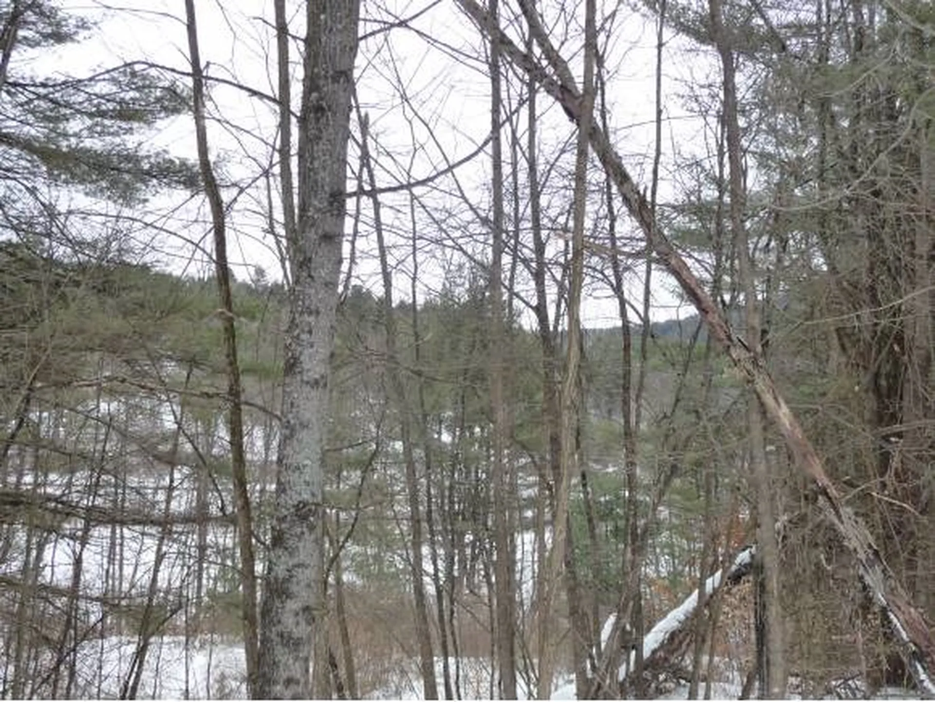 00 Tucker Road Woodstock VT 05091