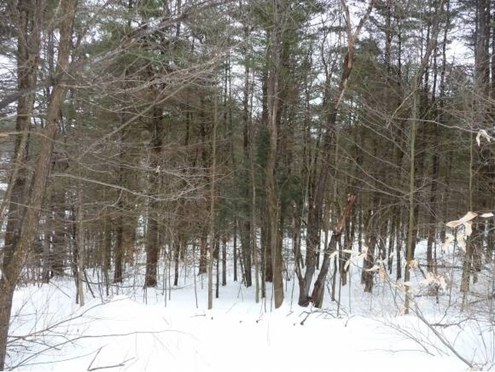 00 Tucker Road Woodstock VT 05091