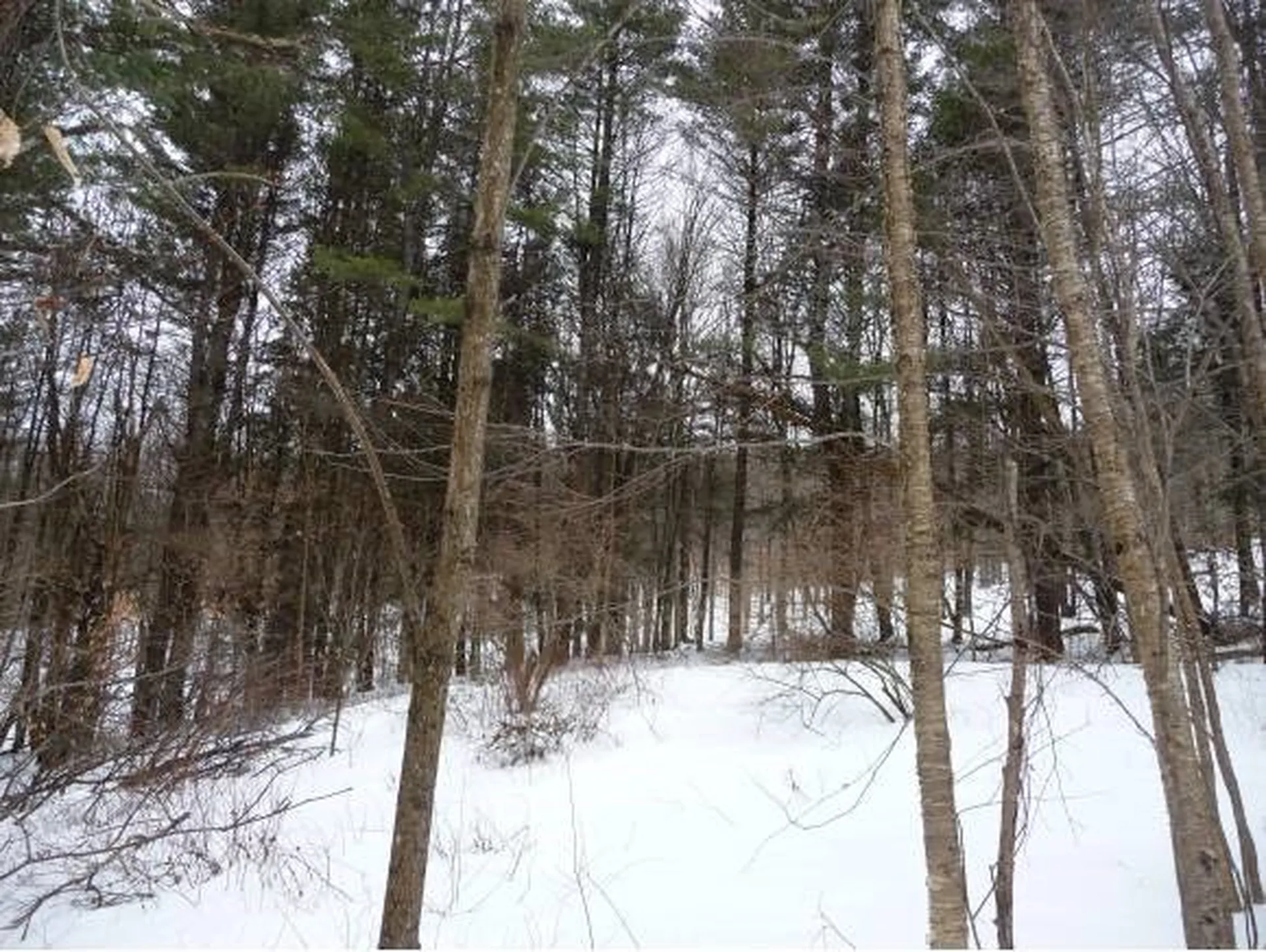 00 Tucker Road Woodstock VT 05091