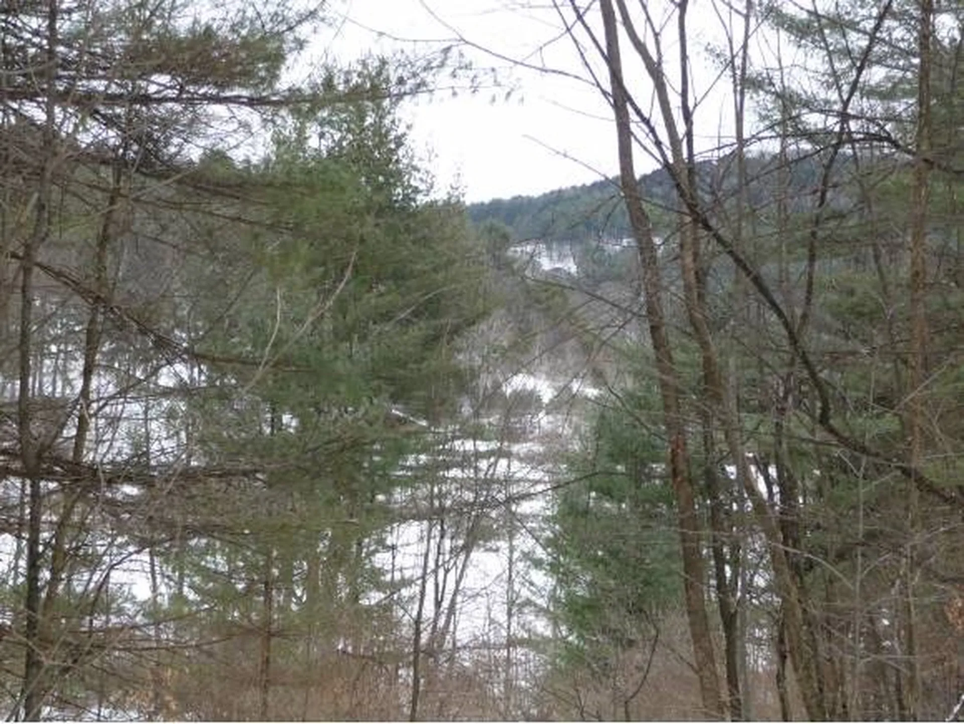 00 Tucker Road Woodstock VT 05091