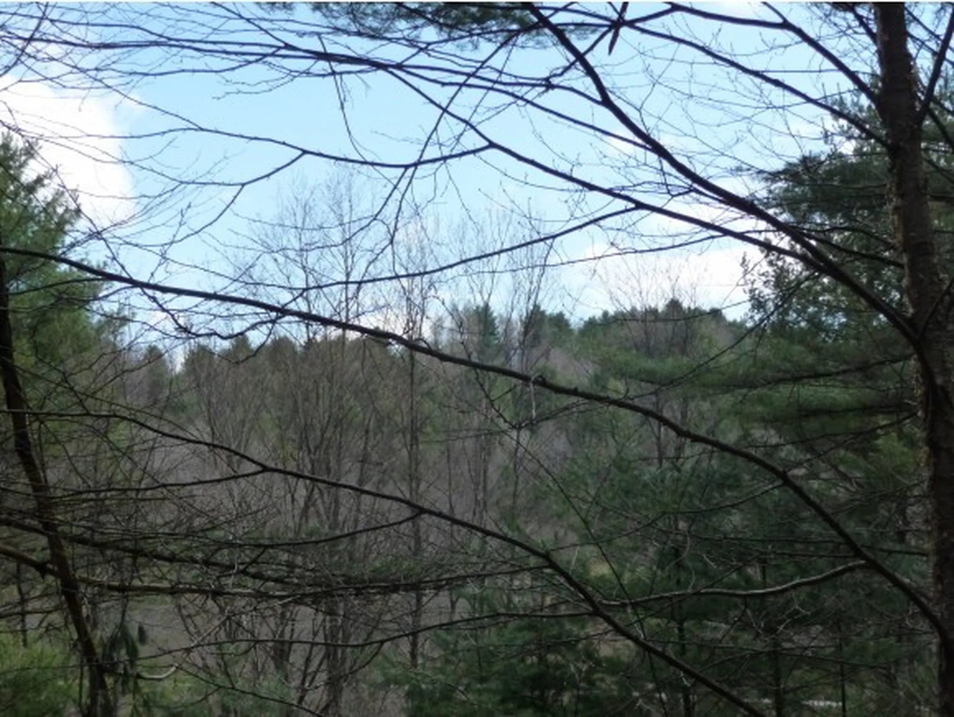 00 Tucker Road Woodstock VT 05091