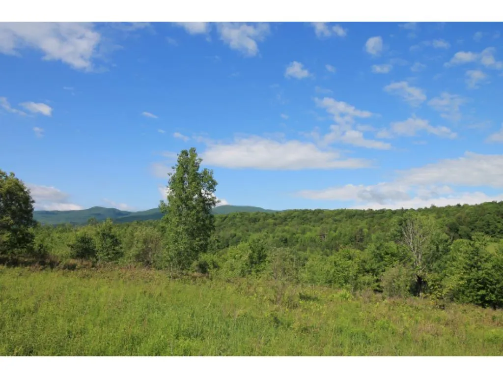0 Bent Hill Road Braintree VT 05060