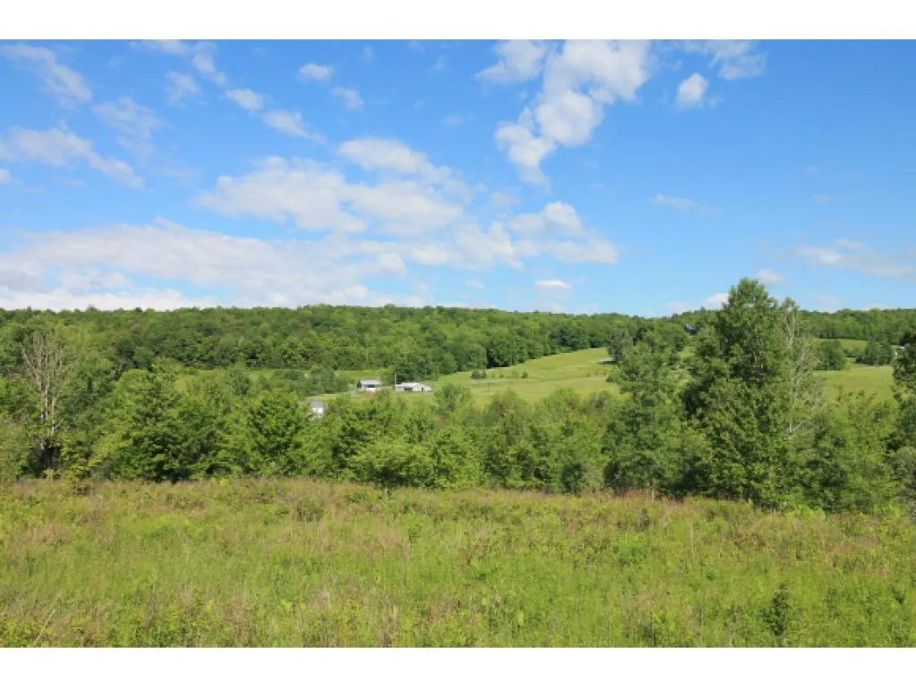 0 Bent Hill Road Braintree VT 05060