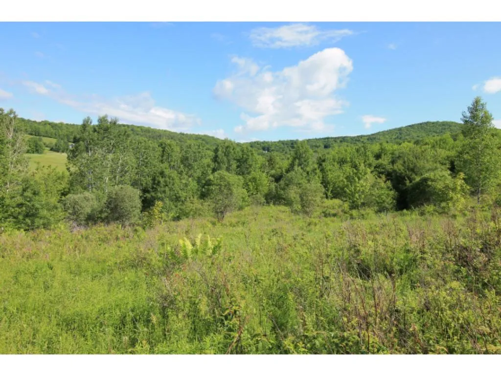 0 Bent Hill Road Braintree VT 05060