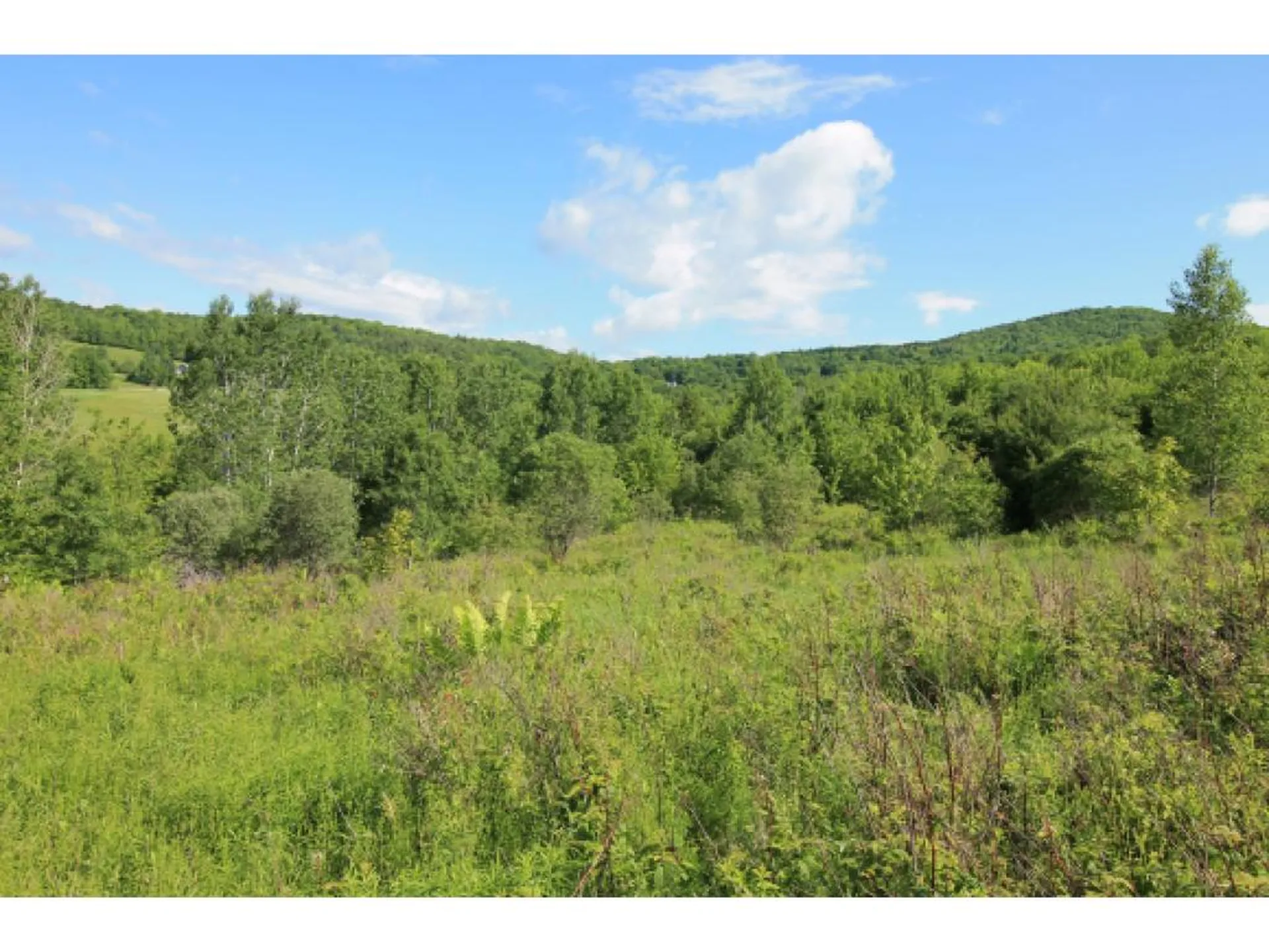 0 Bent Hill Road Braintree VT 05060