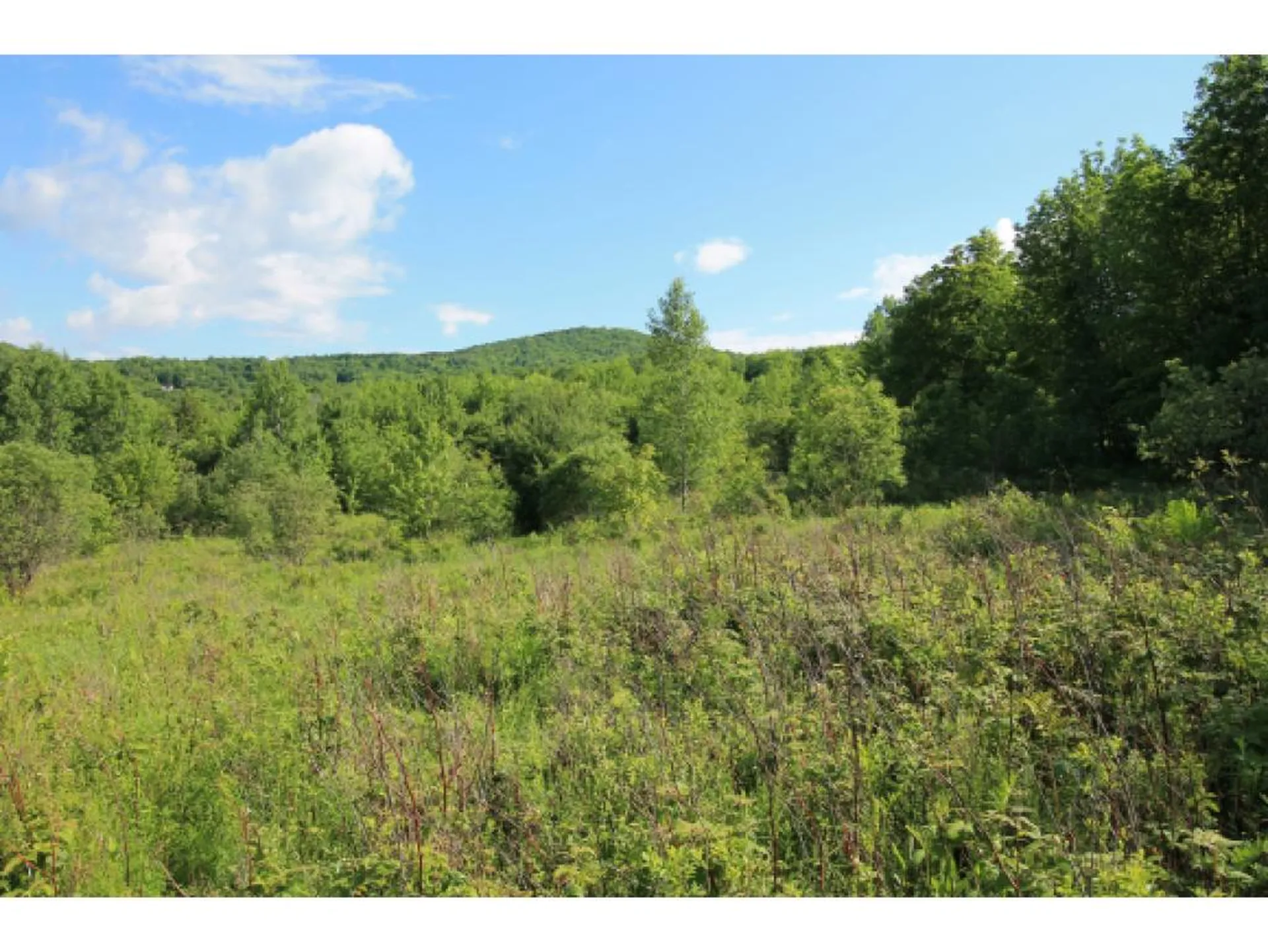 0 Bent Hill Road Braintree VT 05060