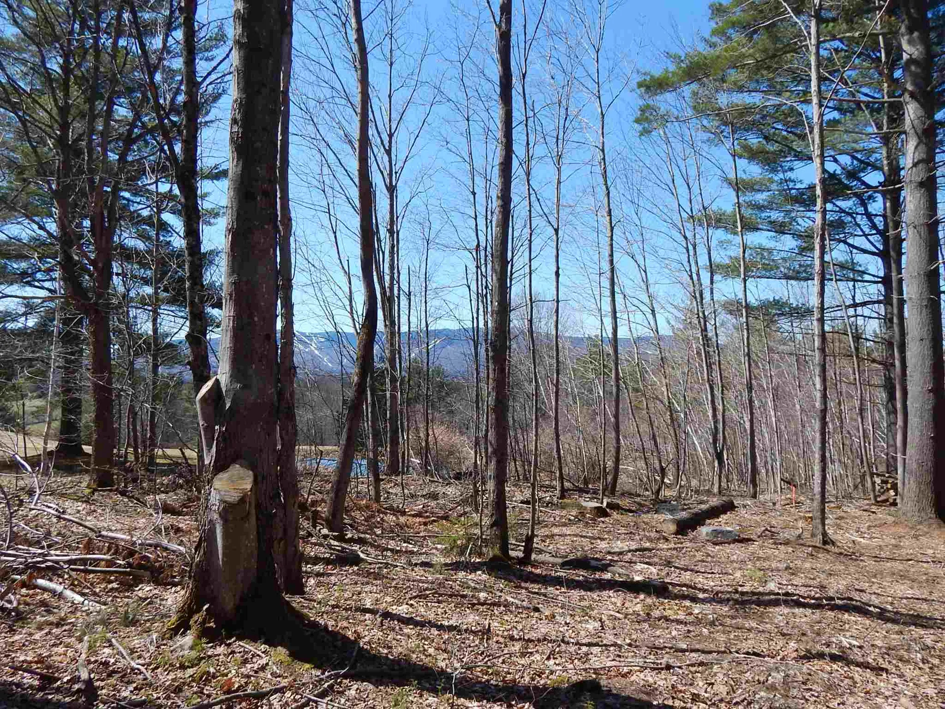 Ridge View Road Warren VT 05674