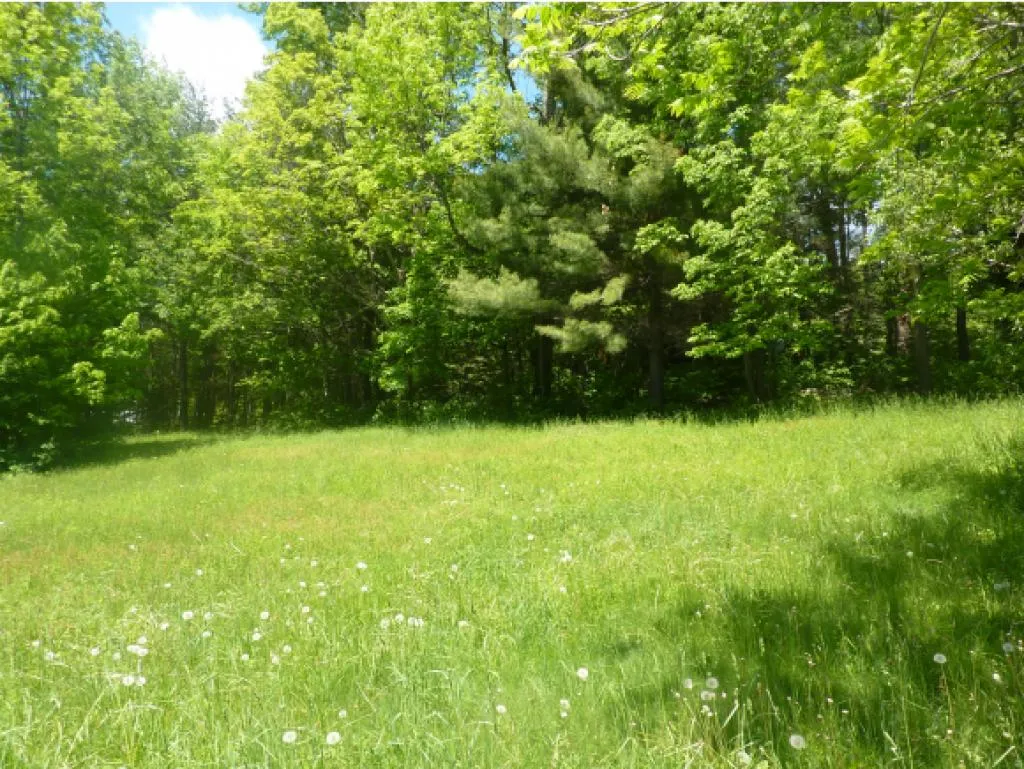 2078 Warren Mountain Road Roxbury VT 05669