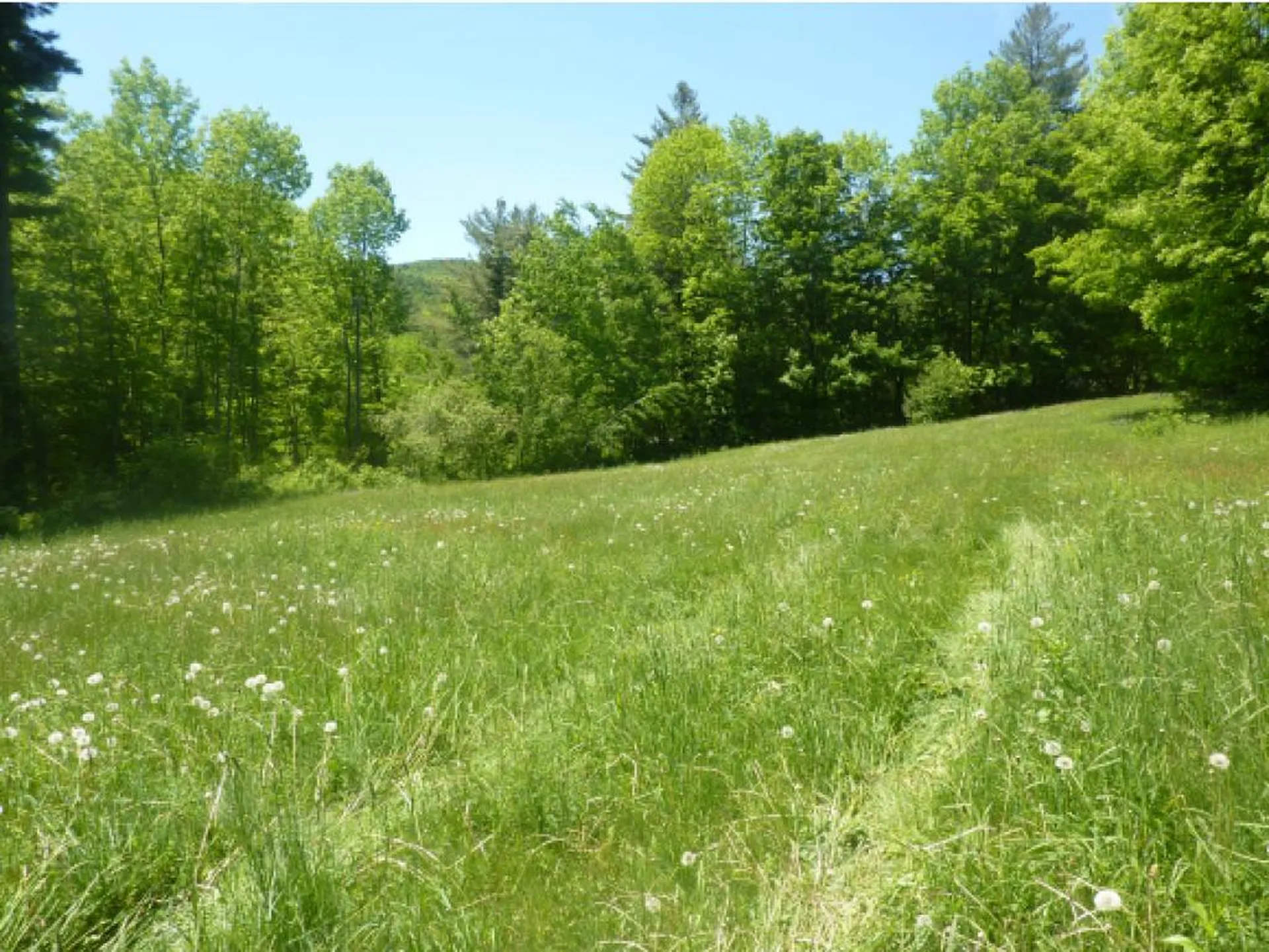2078 Warren Mountain Road Roxbury VT 05669