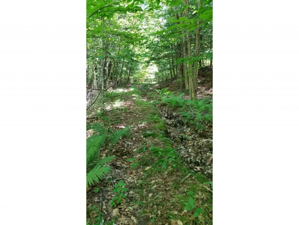 62 Stevens Road Hanover NH 03755