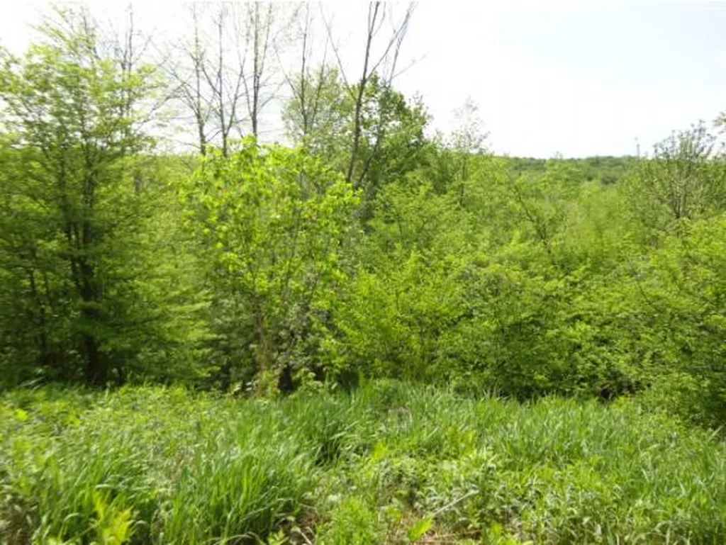 59 Corliss Road Richford VT 05476