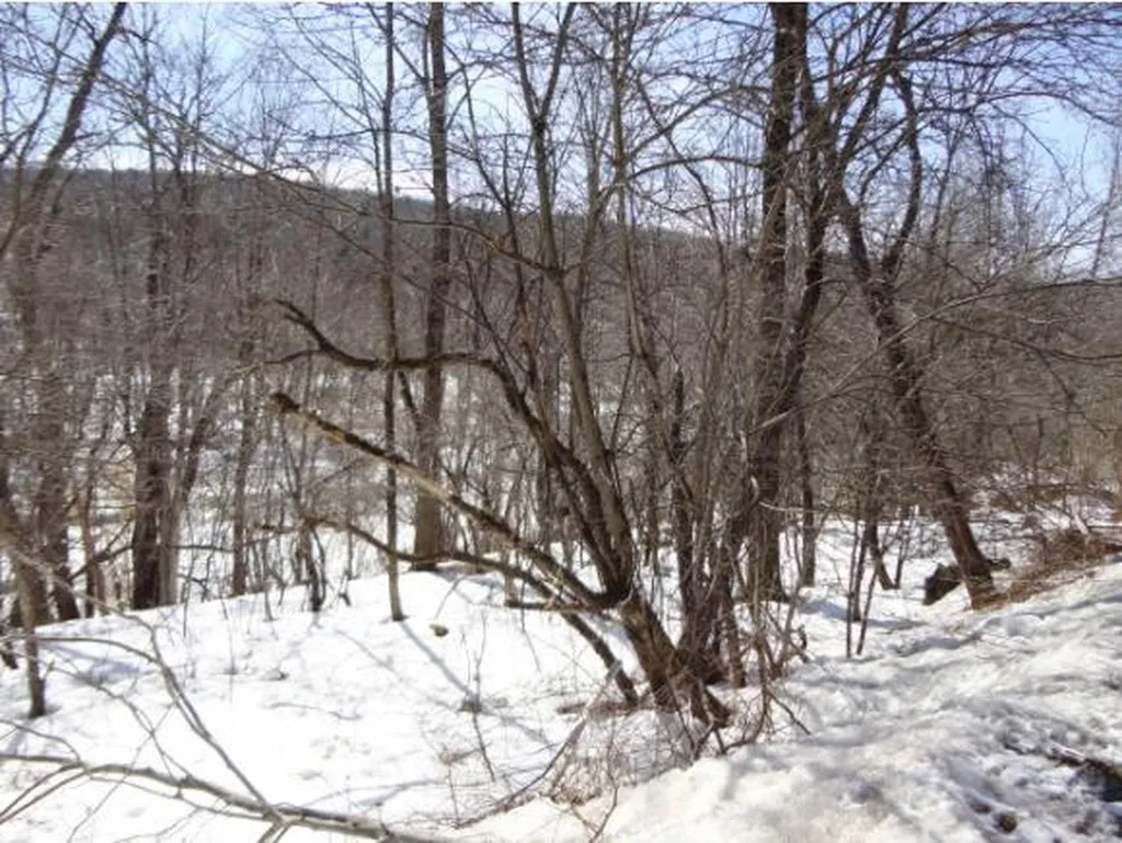 59 Corliss Road Richford VT 05476