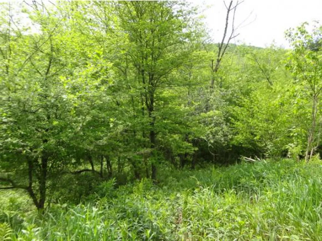 59 Corliss Road Richford VT 05476