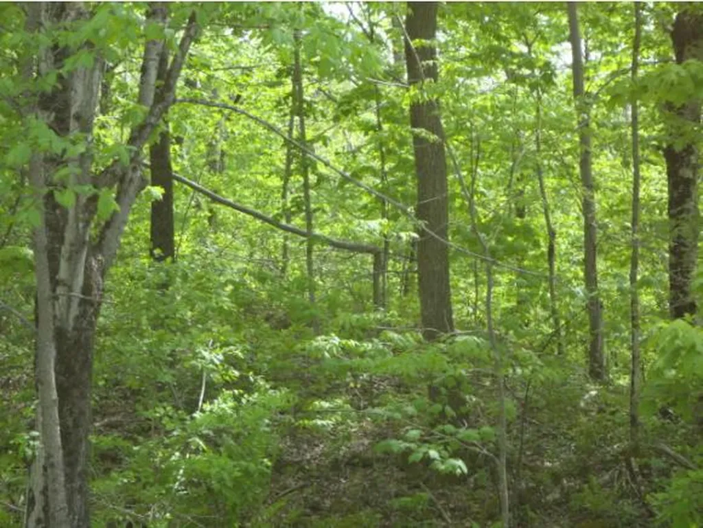 59 Corliss Road Richford VT 05476