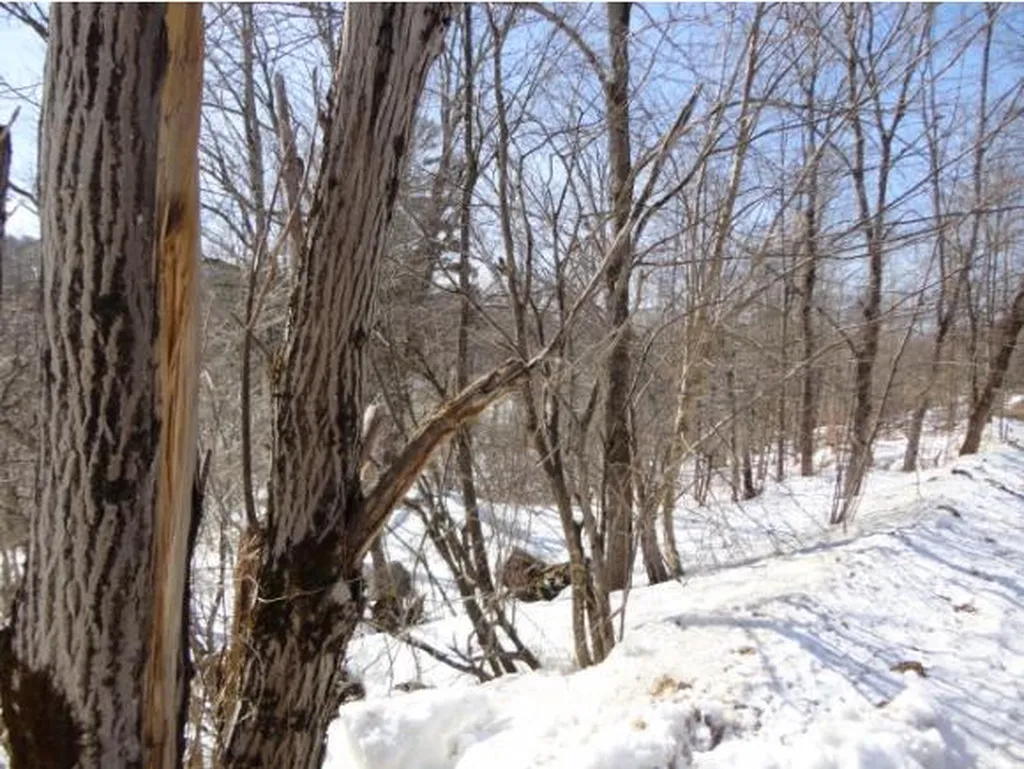 59 Corliss Road Richford VT 05476