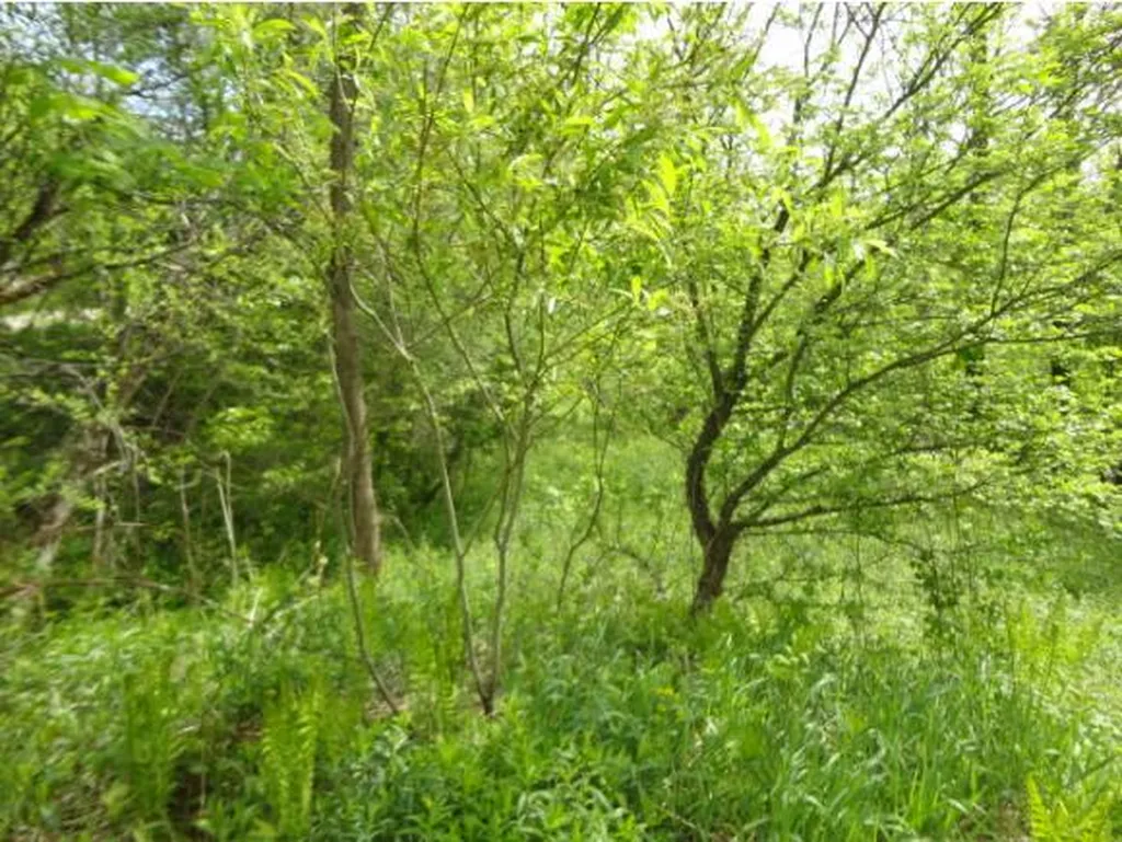 59 Corliss Road Richford VT 05476