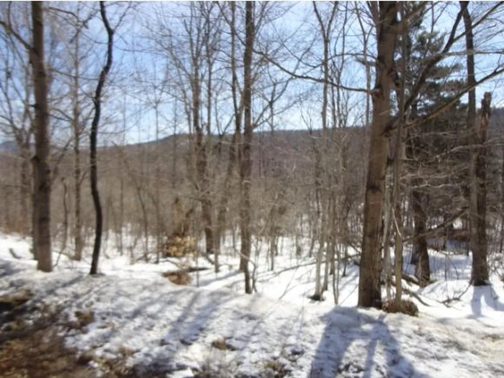 59 Corliss Road Richford VT 05476