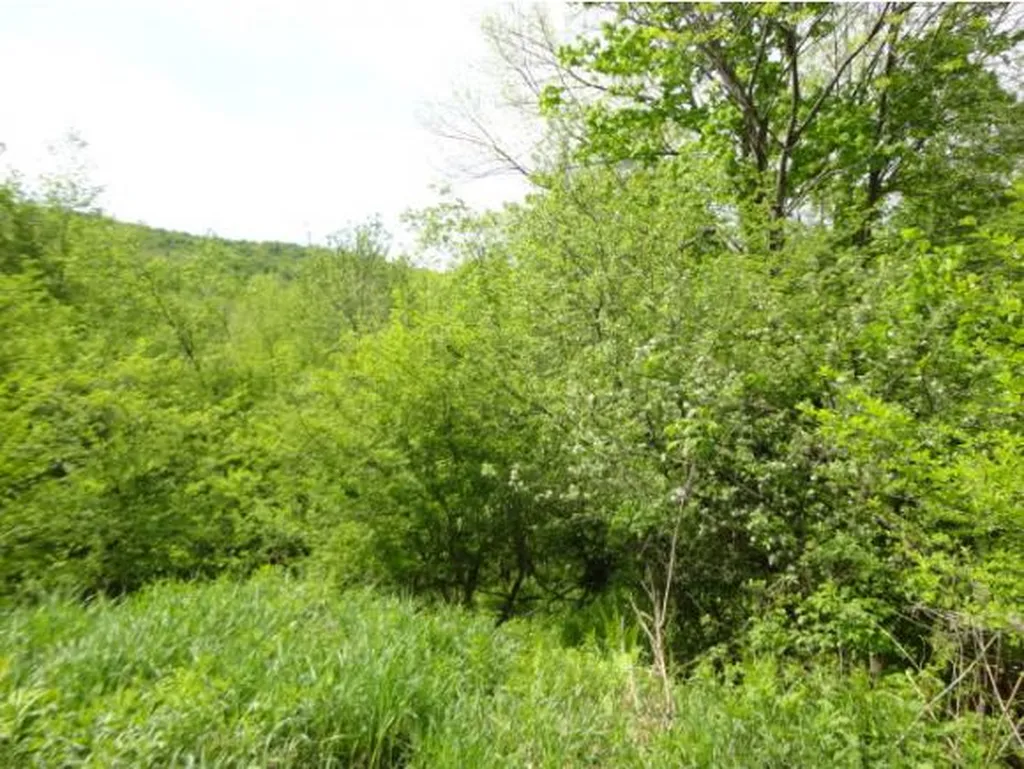 59 Corliss Road Richford VT 05476