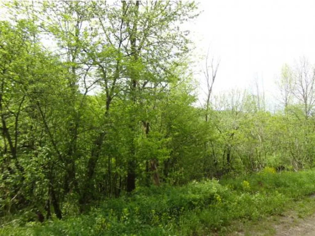 59 Corliss Road Richford VT 05476