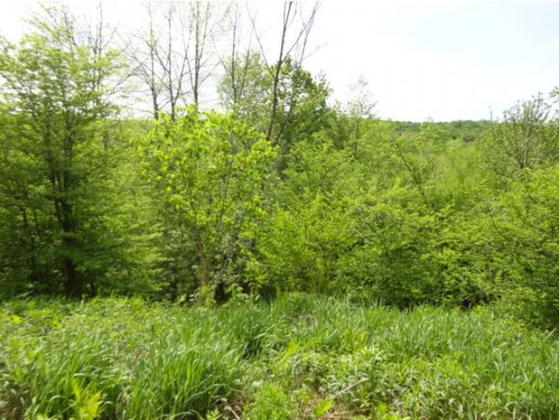 59 Corliss Road Richford VT 05476
