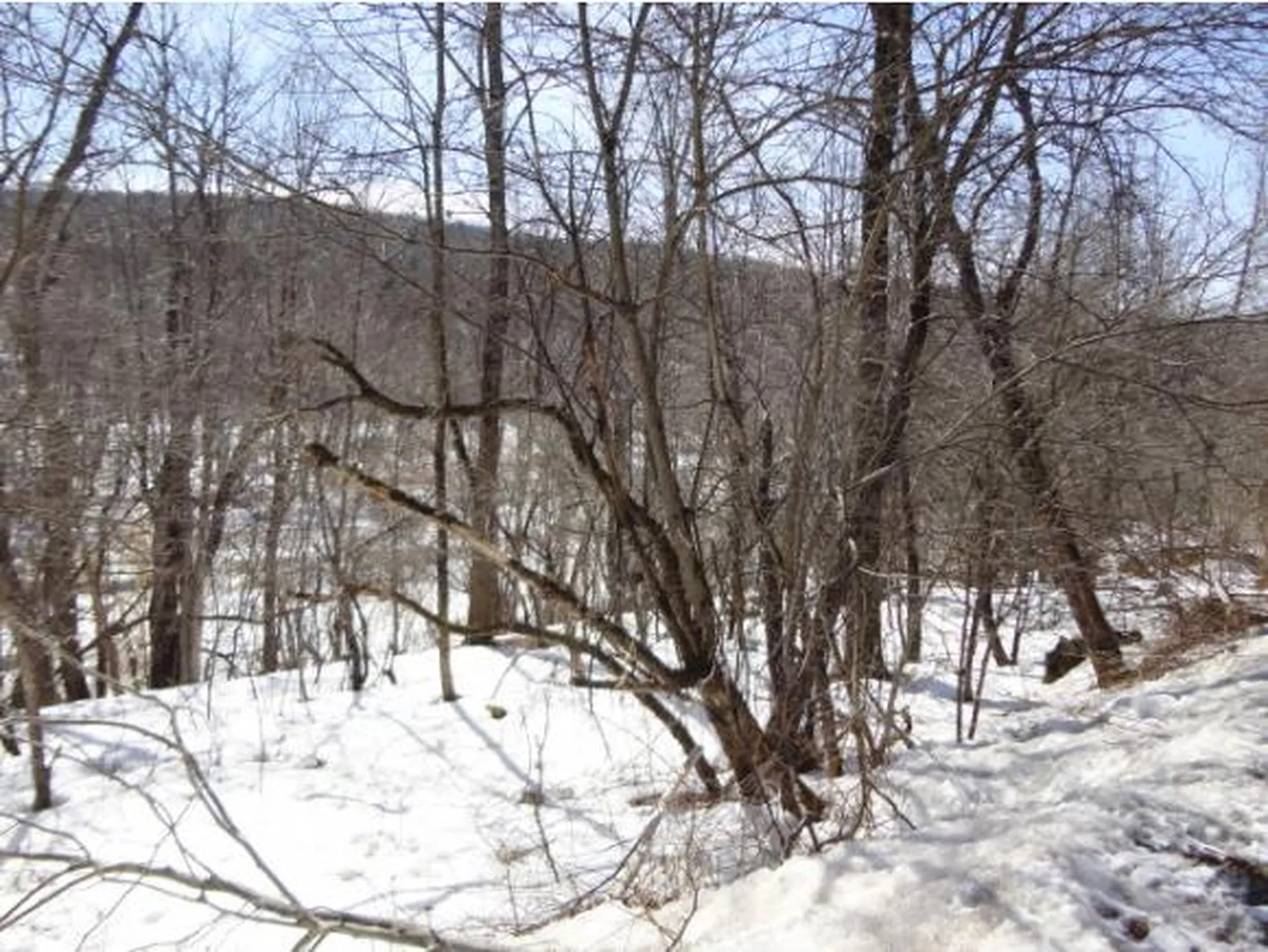 59 Corliss Road Richford VT 05476