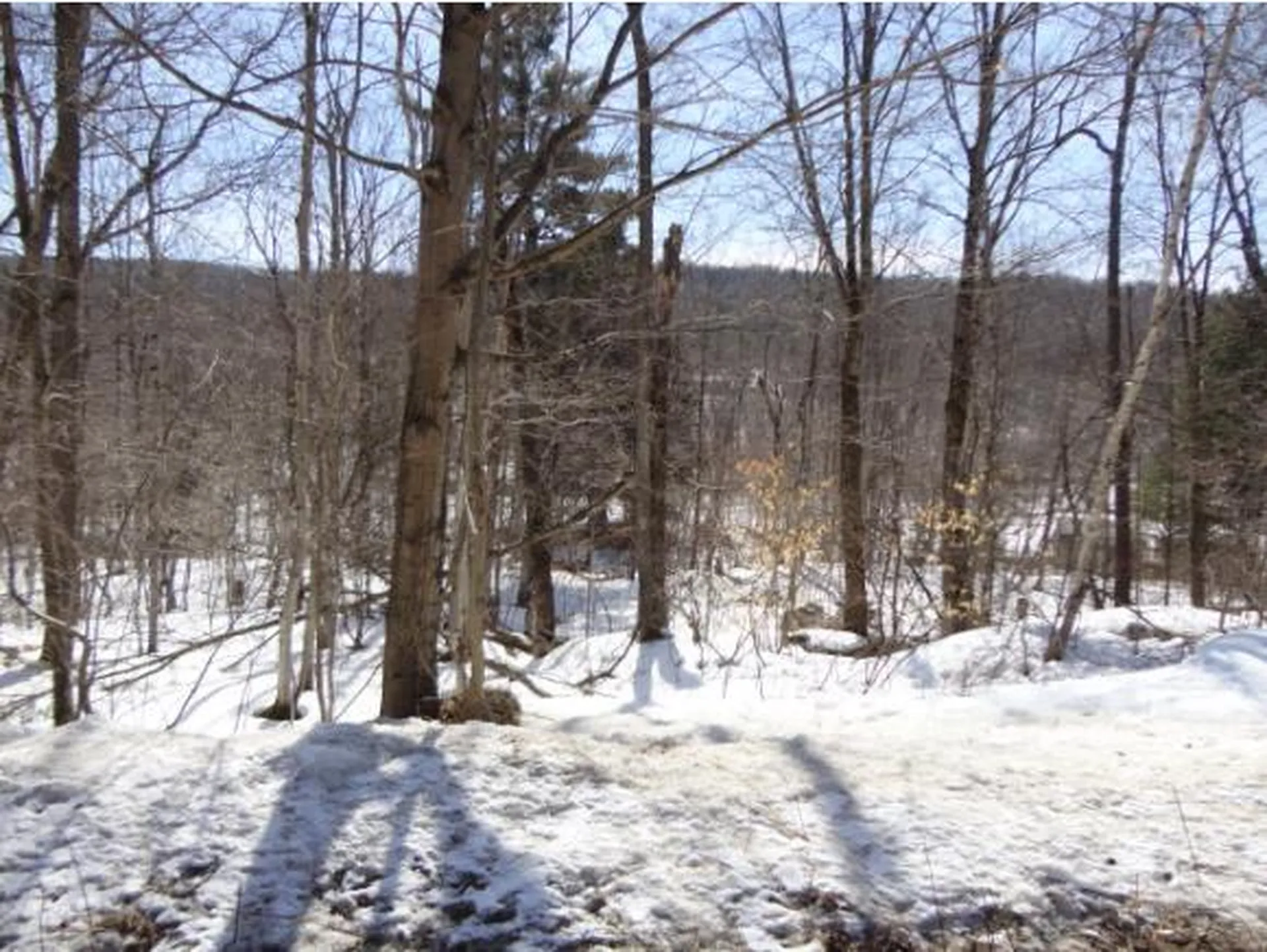59 Corliss Road Richford VT 05476