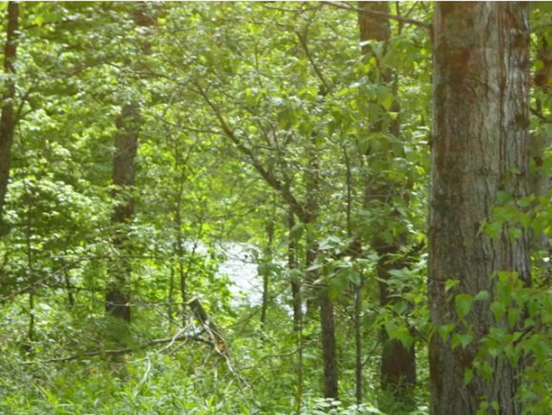 59 Corliss Road Richford VT 05476