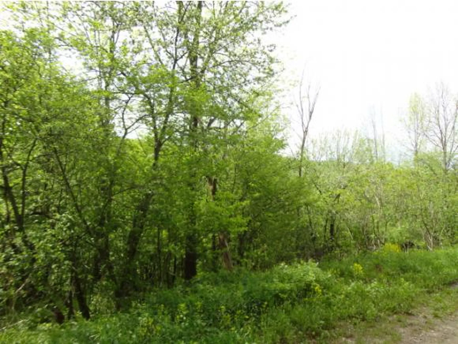59 Corliss Road Richford VT 05476