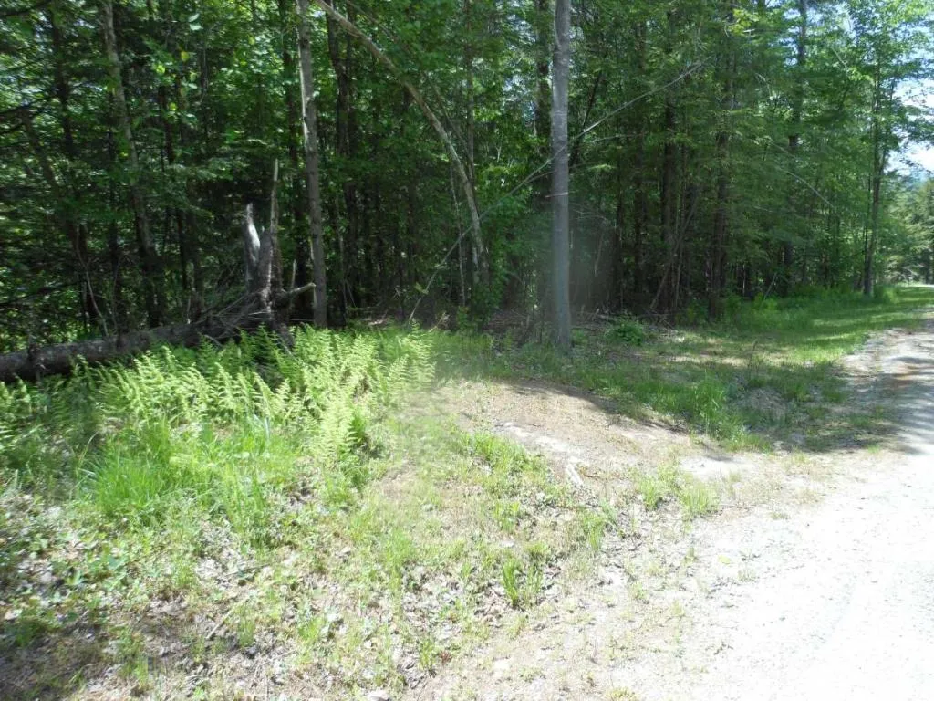 000 Crabapple Lane Hyde Park VT 05655