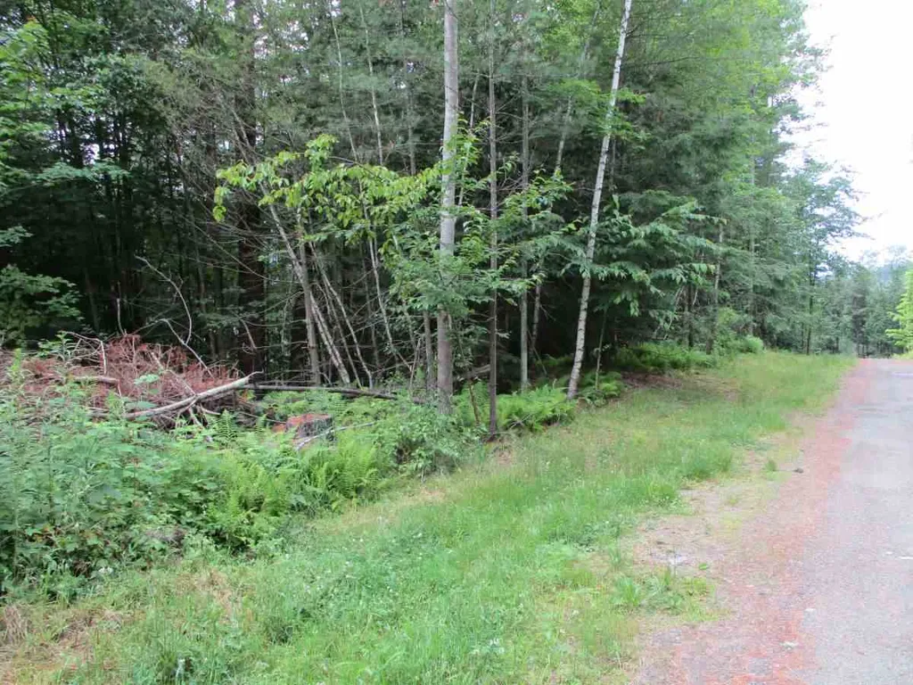 000 Crabapple Lane Hyde Park VT 05655