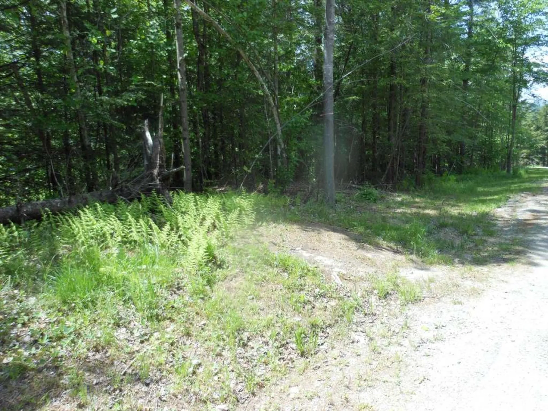 000 Crabapple Lane Hyde Park VT 05655