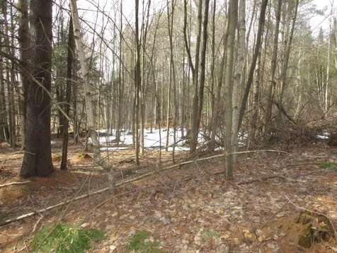 000 Crabapple Lane Hyde Park VT 05655