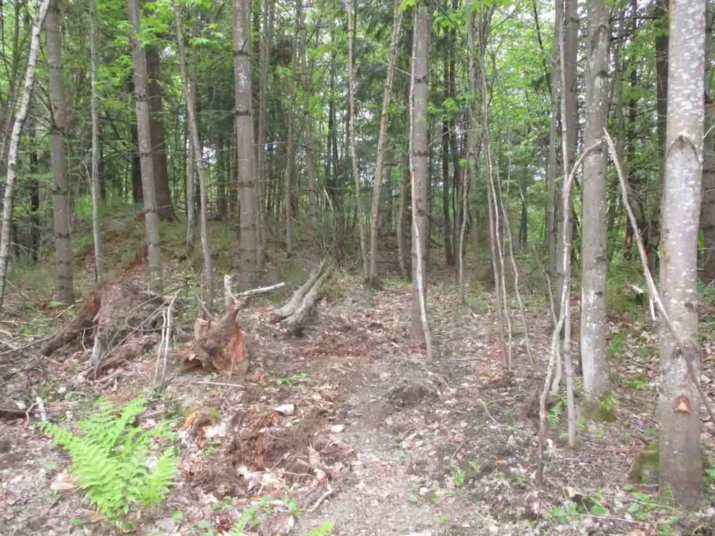 000 Crabapple Lane Hyde Park VT 05655
