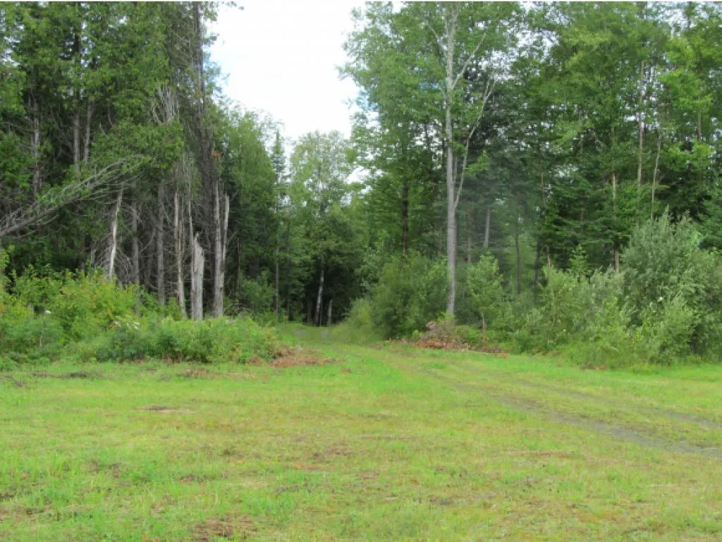 Heritage Drive Stewartstown NH 03597