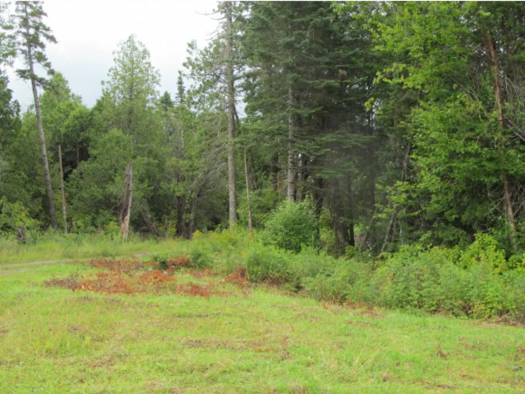 Heritage Drive Stewartstown NH 03597