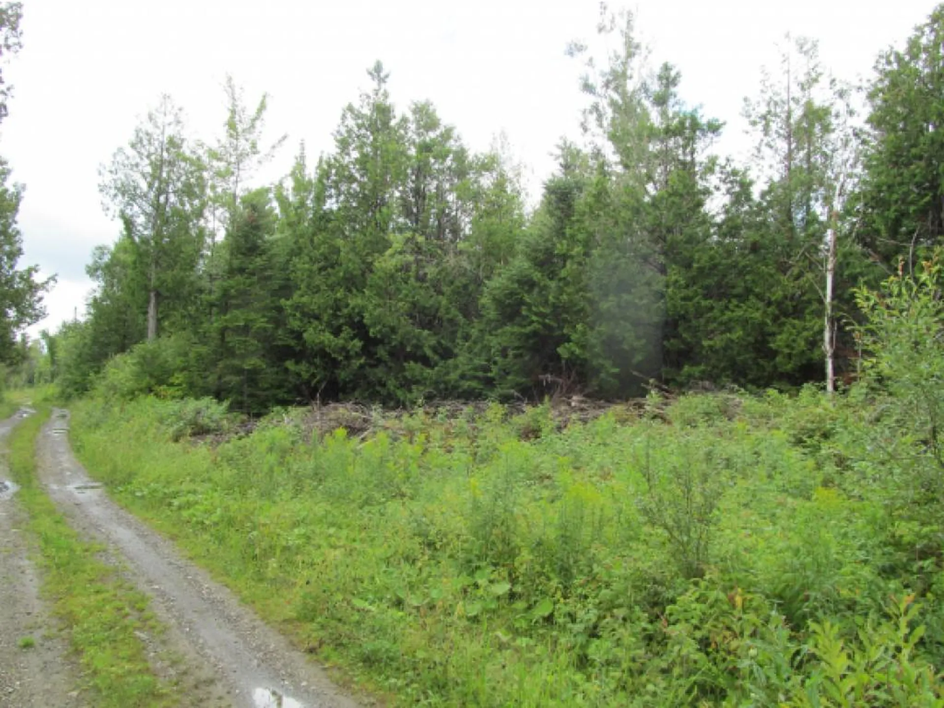 Heritage Drive Stewartstown NH 03597